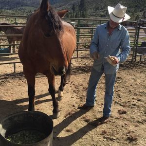 Meet your Posher, Dane